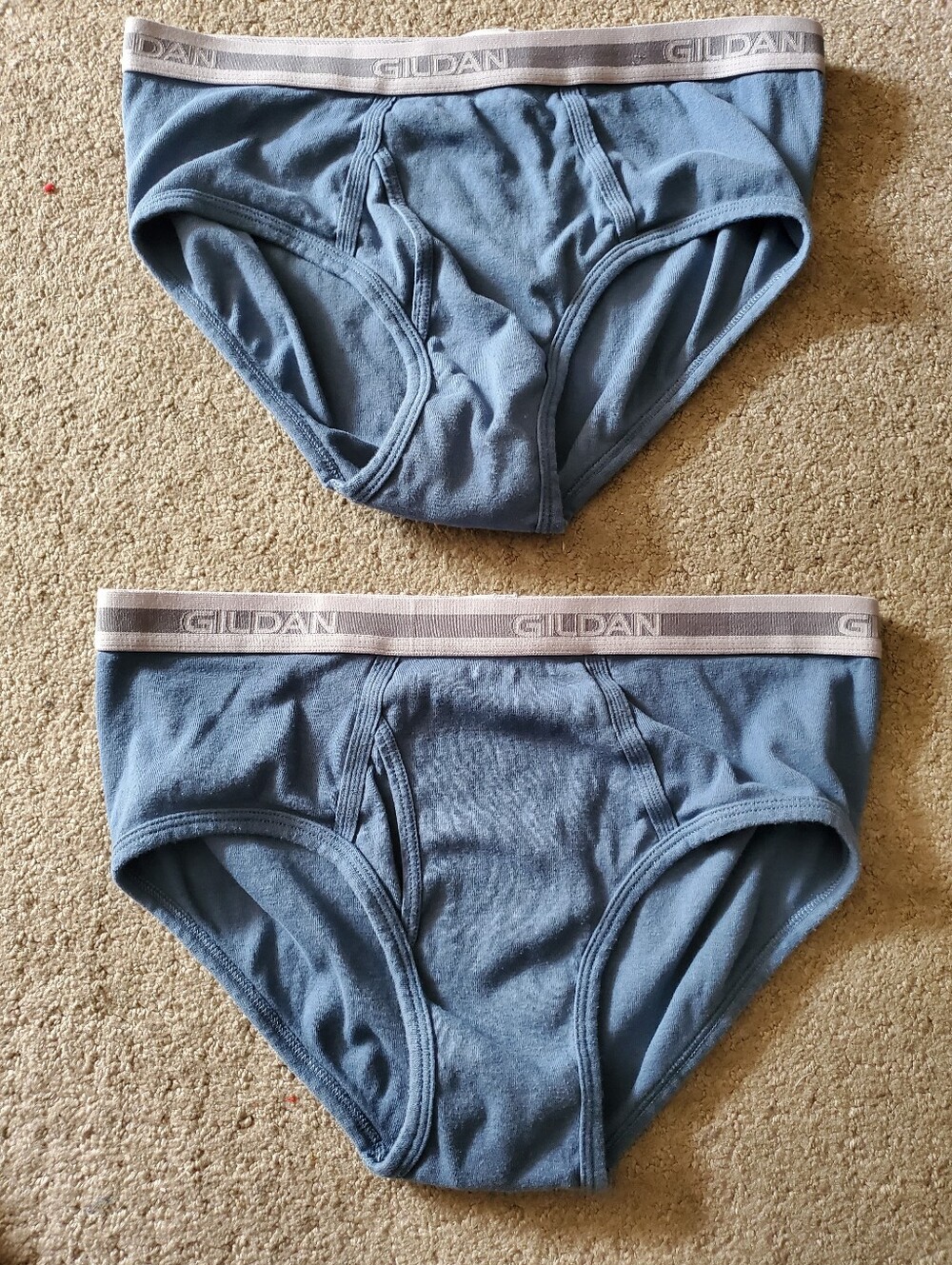 Gildan Light Blue Cotton Briefs - 2 Pack